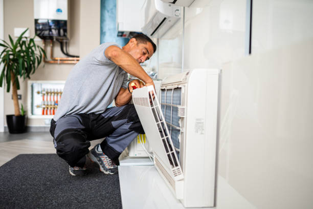 Best Air Duct Mold Removal  in Bertram, TX