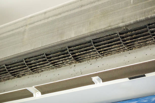 Best Air Duct Cleaning Near Me  in Bertram, TX